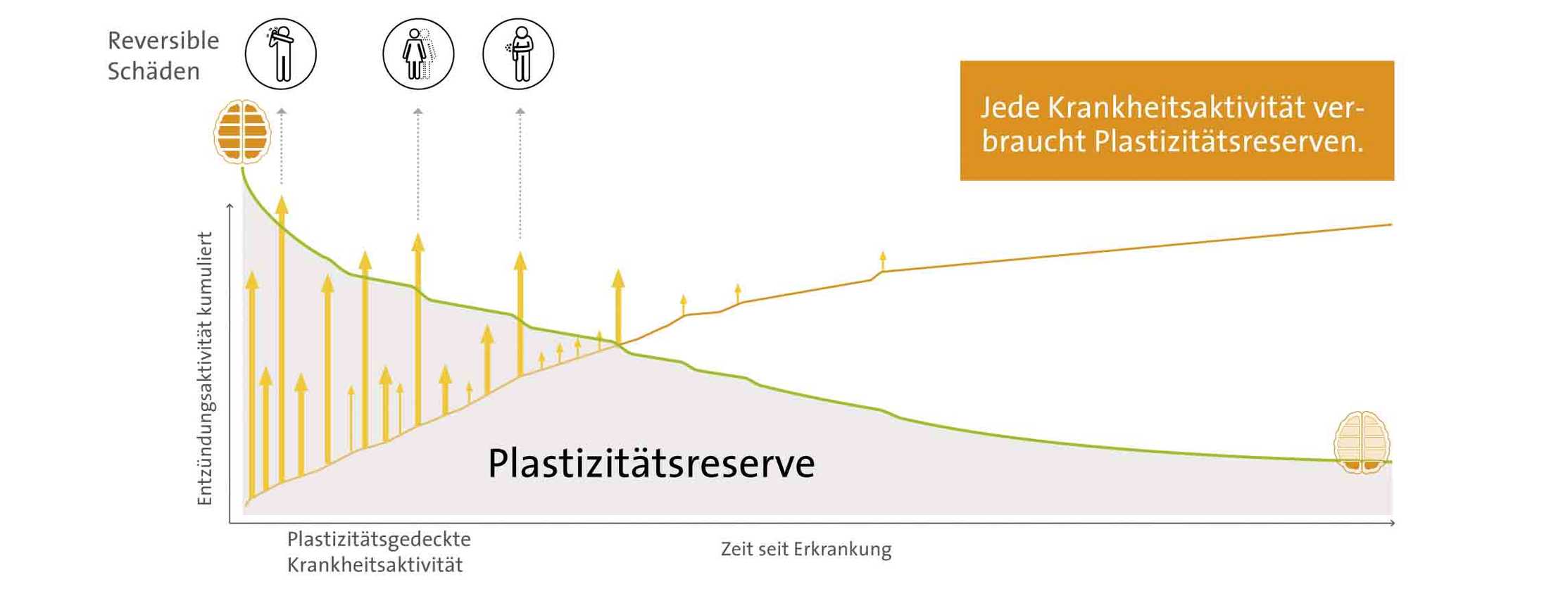 MS und ich: Die Infografik zeigt die Plastizitätsreserven