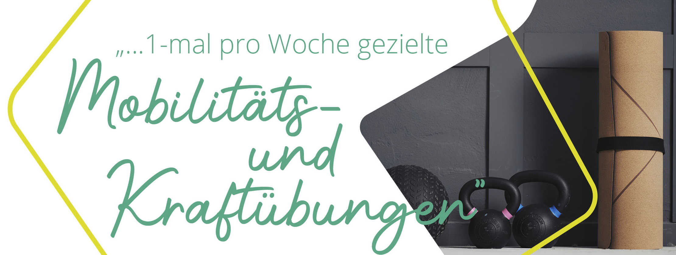 Multiple Sklerose: Zitat des Fitnesstrainers André: „... 1-mal pro Woche gezielte Mobilitäts- und Kraftübungen."“