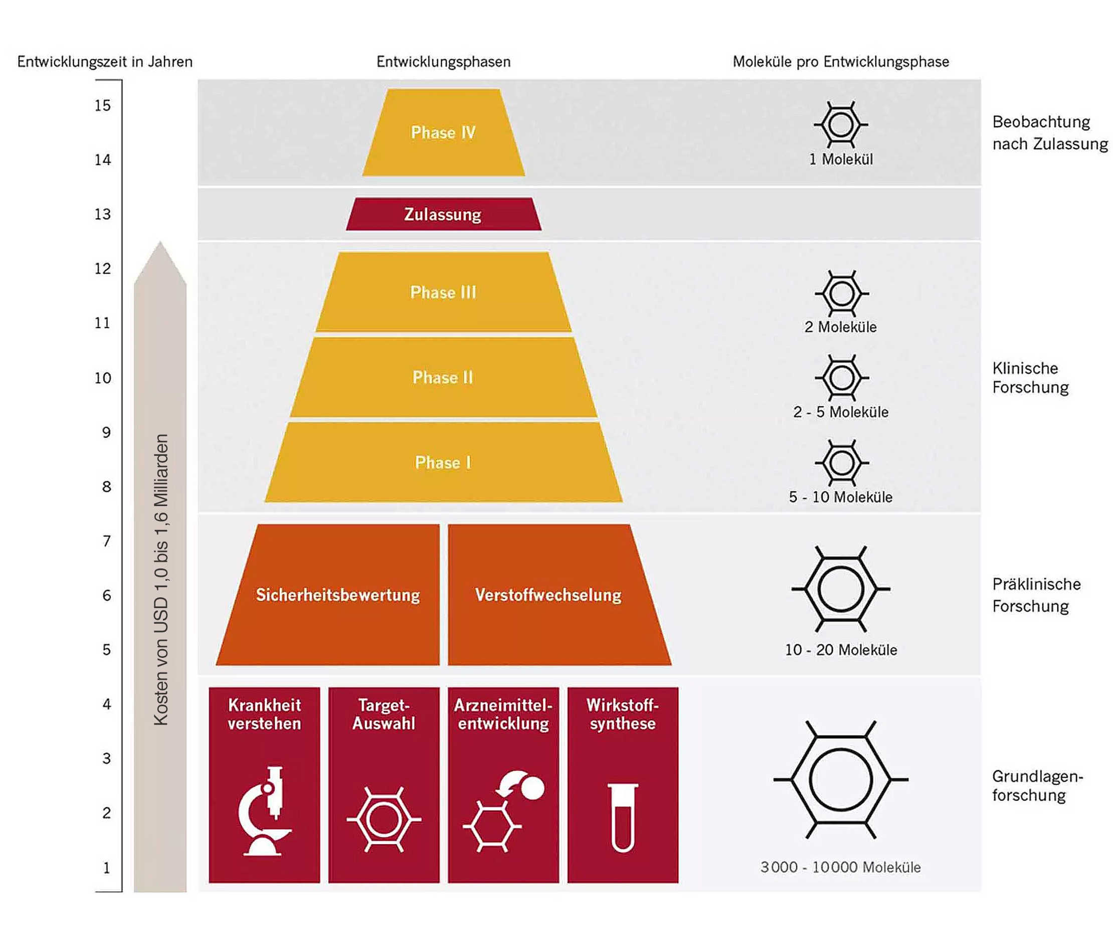 MS und ich: Die Grafik zeigt den Weg eines Medikamentes von der Forschung bis zur Zulasung