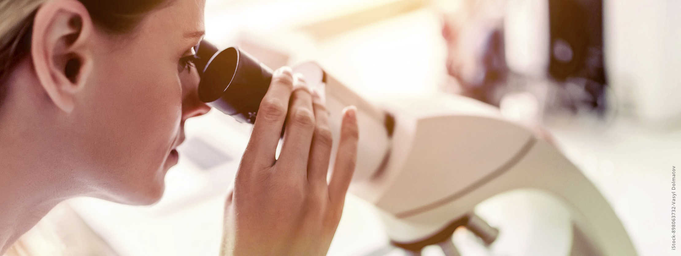 MS und ich: Eine Arzneimittelforscherin blickt durch ein Mikroskop