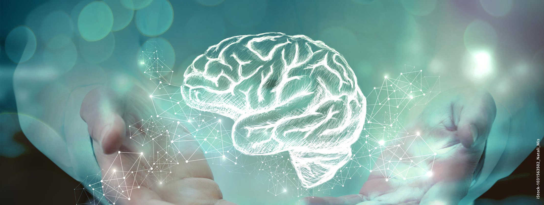 MS & ich: Eine Hand hält eine visuelle Darstellung eines Gehirns