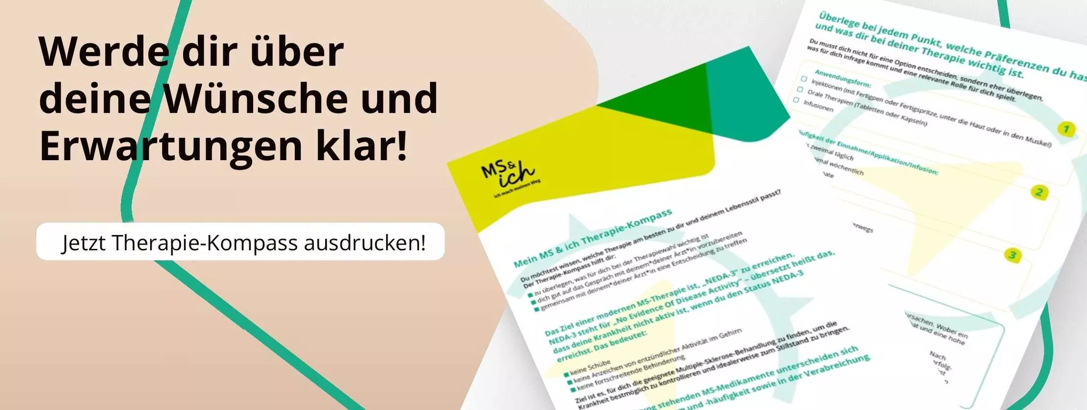 MS&ich Therapie-Kompass Eine Abbildung des Therapie-Kompass