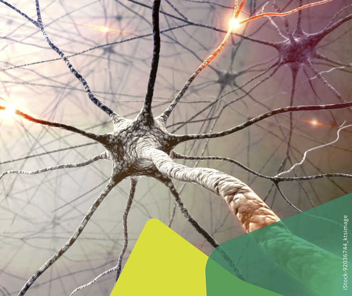 Angriff auf das zentrale Nervensystem