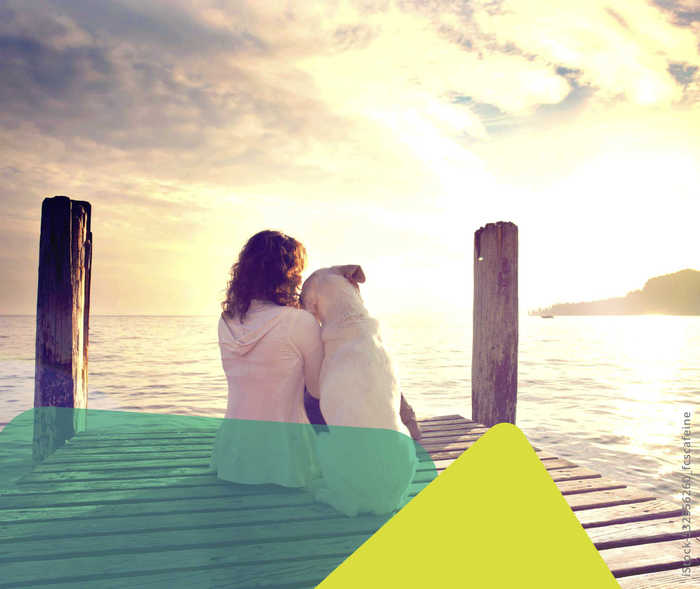 Therapietreue bei MS