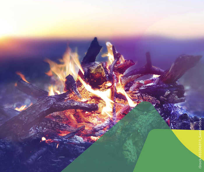 Entzündungsprozesse bei MS