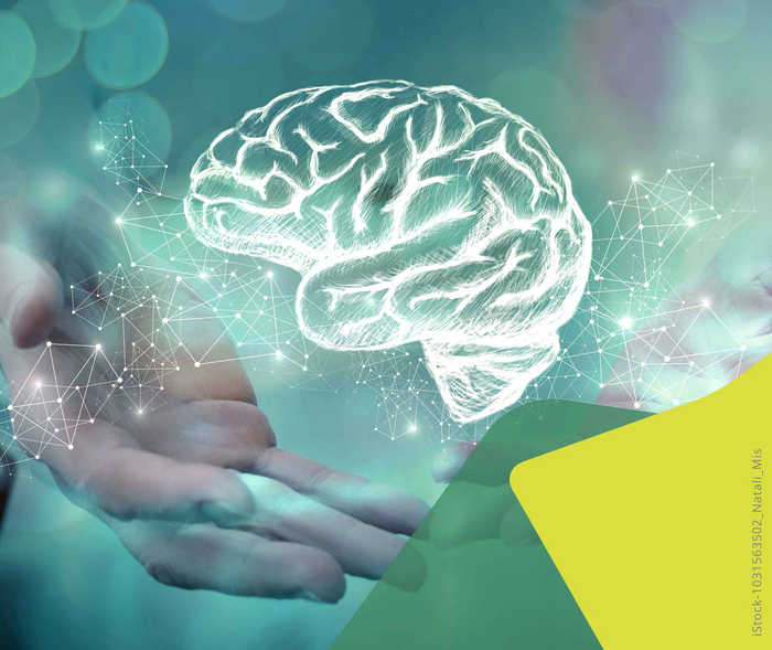 MS-Wissen Multiple Sklerose