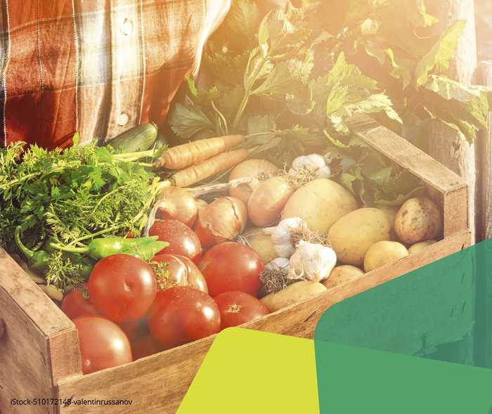 Das Bild zeigt eine Holzkiste mit Karotten, Tomaten, Zwiebeln, Knoblauch und Kartoffeln
