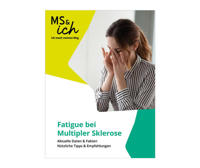 Das Bild zeigt eine Vorschau auf das Downloadmaterial