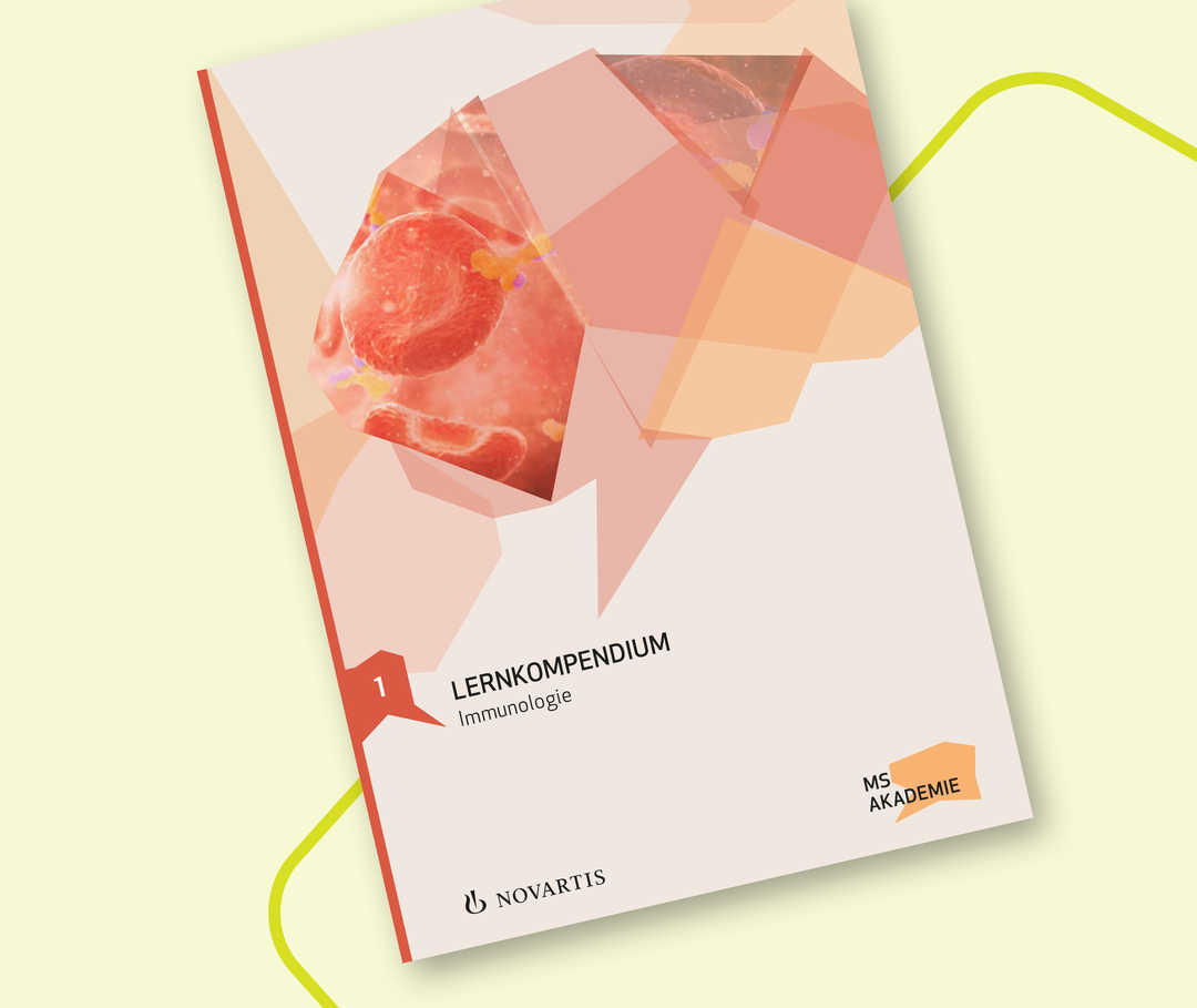 Das Bild zeigt eine Vorschau auf das Material