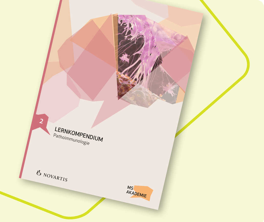 Das Bild zeigt eine Vorschau auf das Material