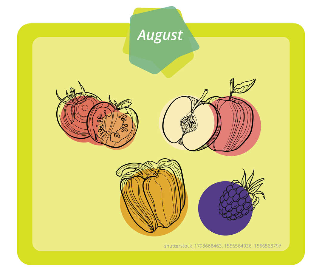 Auf dem Bild sind eine Tomate, ein Apfel, eine Paprika und eine Brombeere grafisch dargestellt.