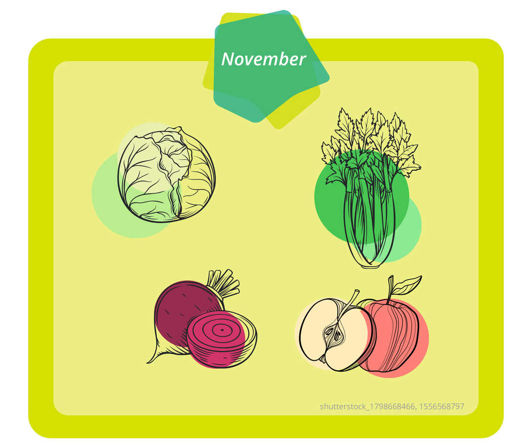 Das Bild zeigt verschiedene Arten Obst und Gemüse