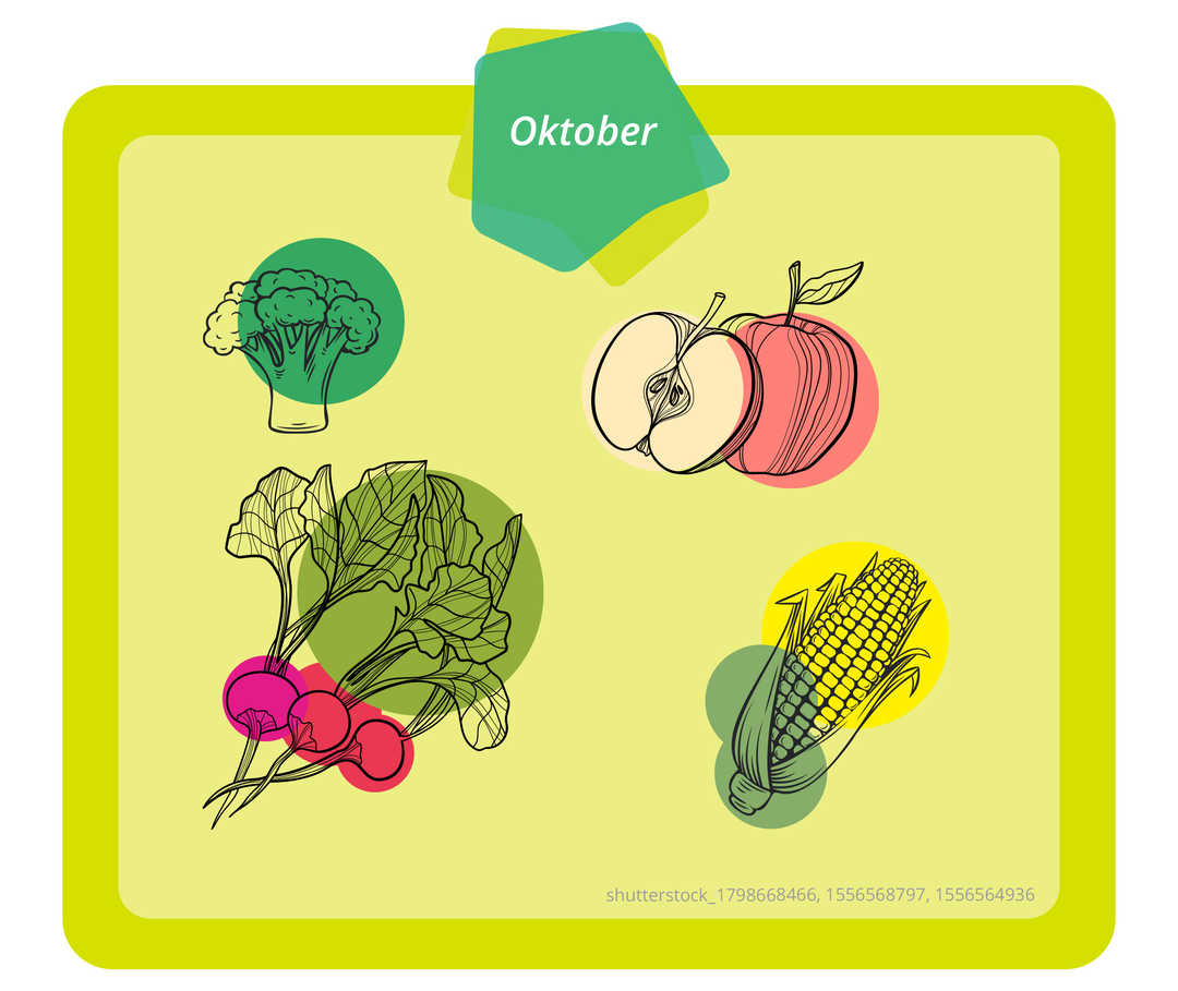 Das Bild zeigt verschiedene Arten Obst und Gemüse