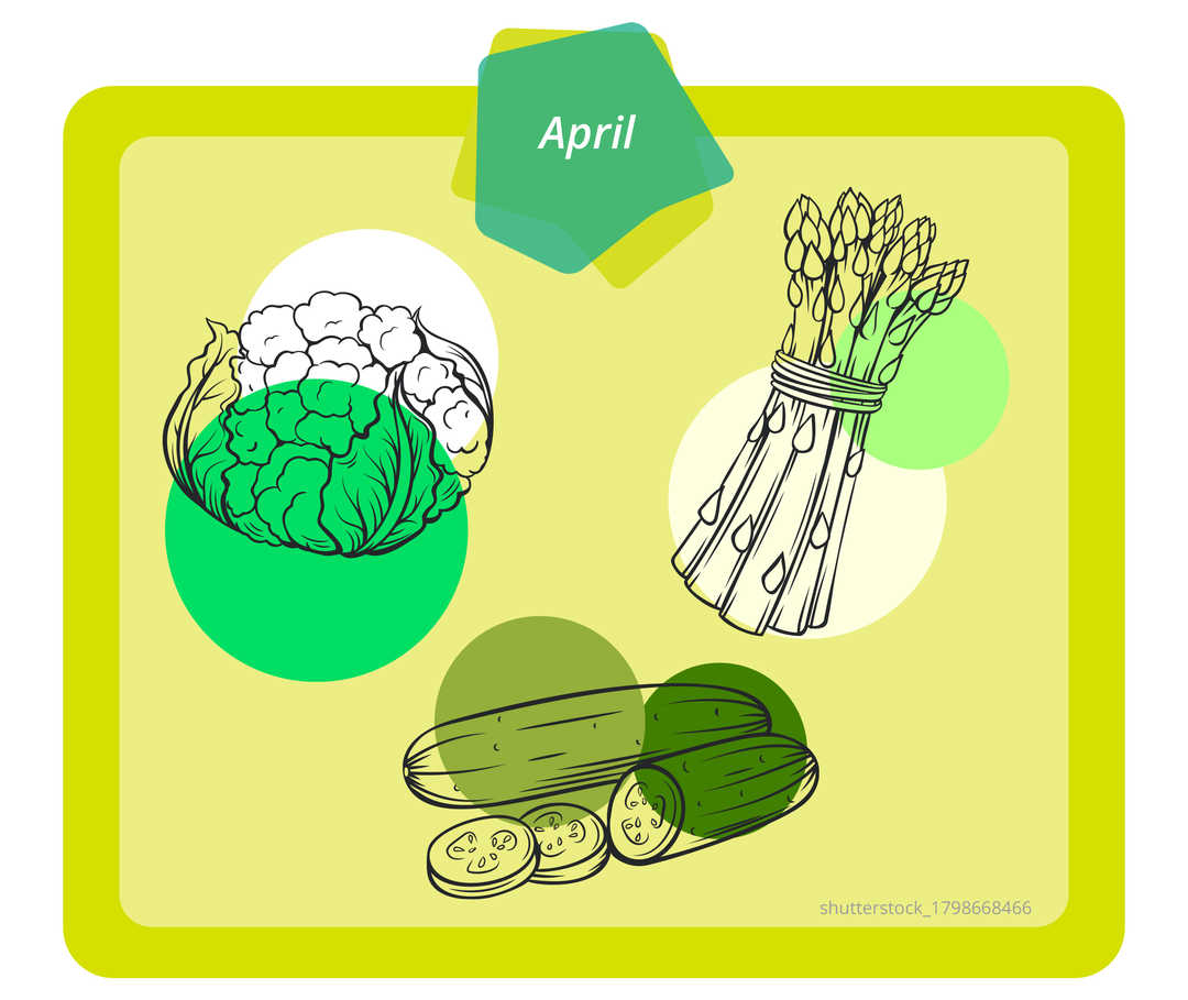 Auf dem Bild ist Gemüse dargestellt