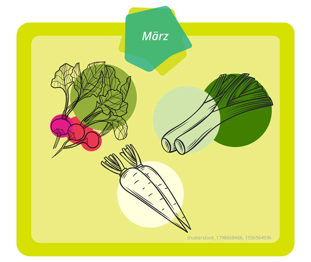 Auf dem Bild ist Gemüse dargestellt