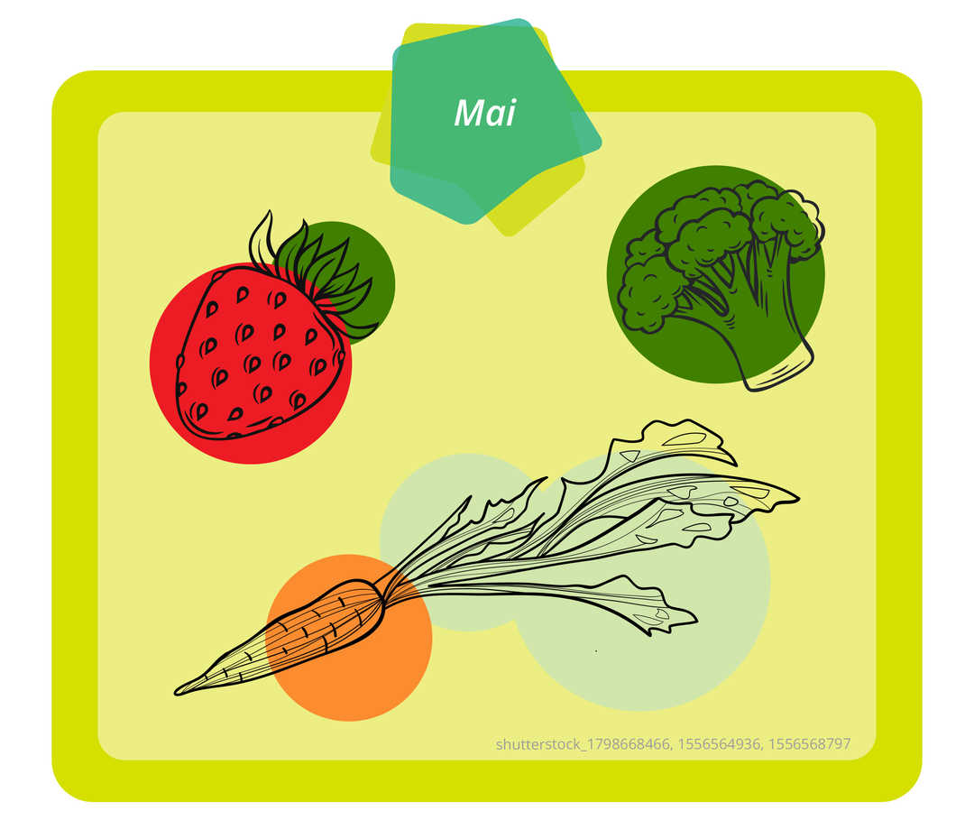 Auf dem Bild ist Obst und Gemüse dargestellt