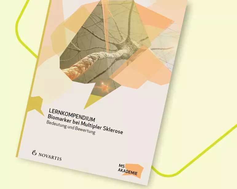 Vorschau auf das PDF